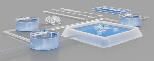 Wastewater-Sludge-Treatment